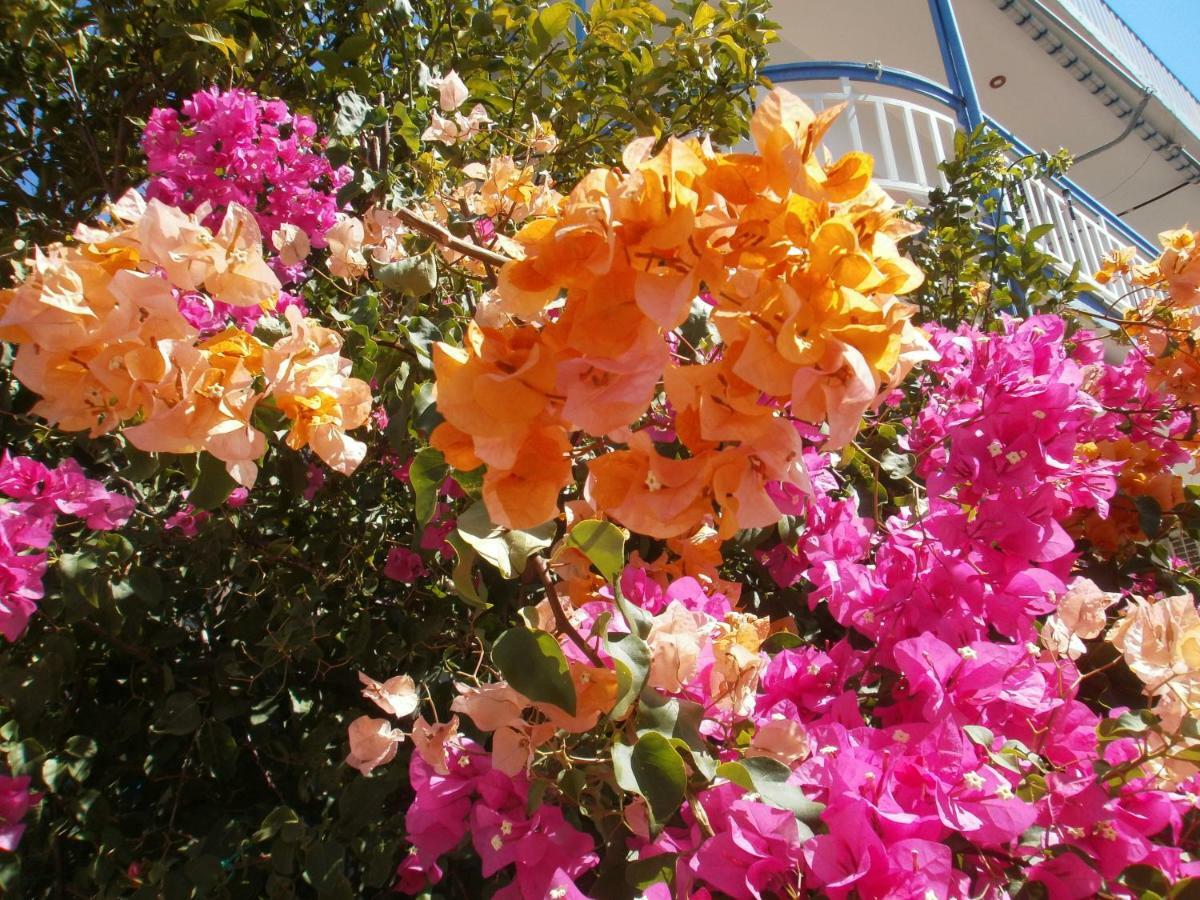 Seaview - Selfcatering Apartment - Helen No 2 Xiropigado Esterno foto